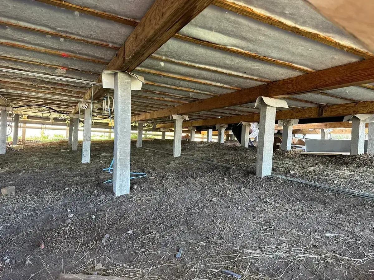 Underfloor insulation fitted between floor joists of a suspended timber floor on stumps